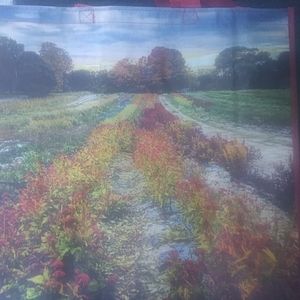 Reusable Polypropylene Bag